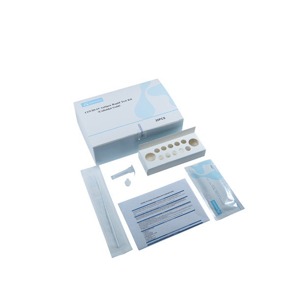 Antigen vs Antibody – What Are the Differences?